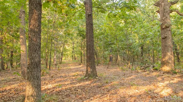 $578,400 | 38925 Stonepiler Avenue, Edwards, MO 65326