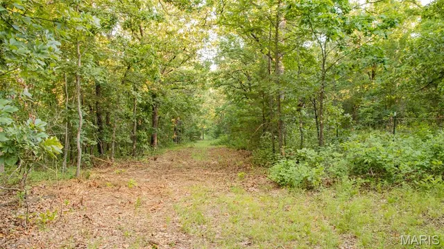 $578,400 | 38925 Stonepiler Avenue, Edwards, MO 65326