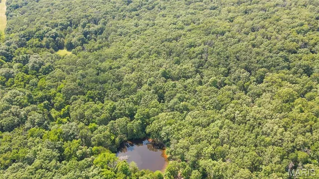 $578,400 | 38925 Stonepiler Avenue, Edwards, MO 65326