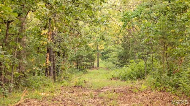 $578,400 | 38925 Stonepiler Avenue, Edwards, MO 65326