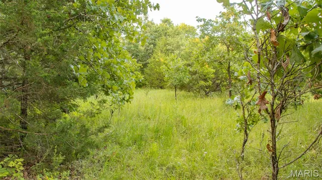 $578,400 | 38925 Stonepiler Avenue, Edwards, MO 65326