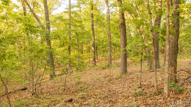 $578,400 | 38925 Stonepiler Avenue, Edwards, MO 65326