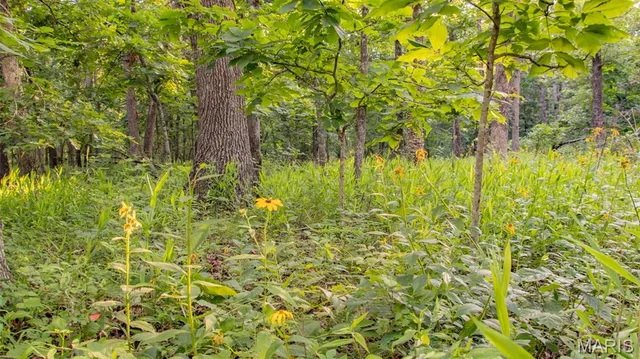 $578,400 | 38925 Stonepiler Avenue, Edwards, MO 65326