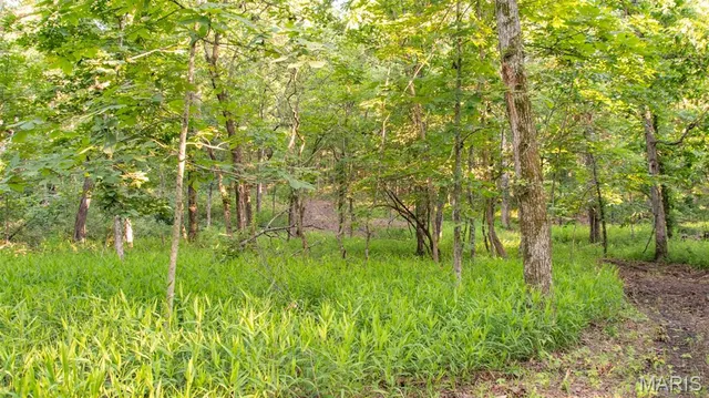 $578,400 | 38925 Stonepiler Avenue, Edwards, MO 65326