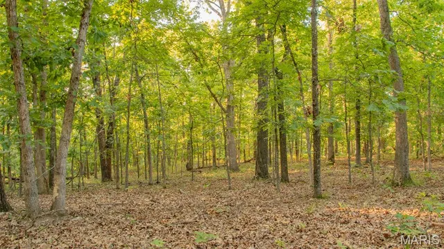 $578,400 | 38925 Stonepiler Avenue, Edwards, MO 65326