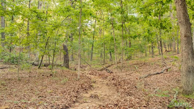 $578,400 | 38925 Stonepiler Avenue, Edwards, MO 65326