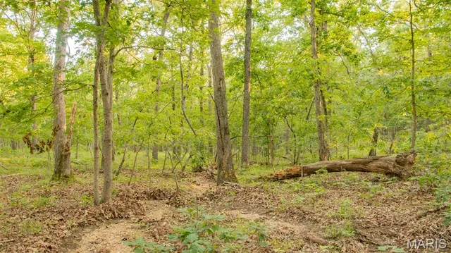 $578,400 | 38925 Stonepiler Avenue, Edwards, MO 65326