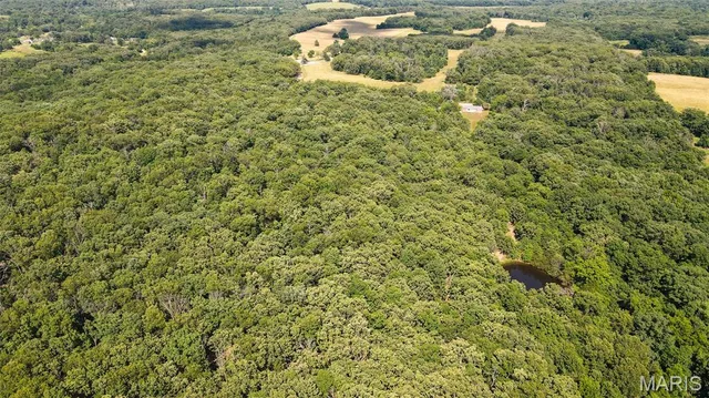 $578,400 | 38925 Stonepiler Avenue, Edwards, MO 65326