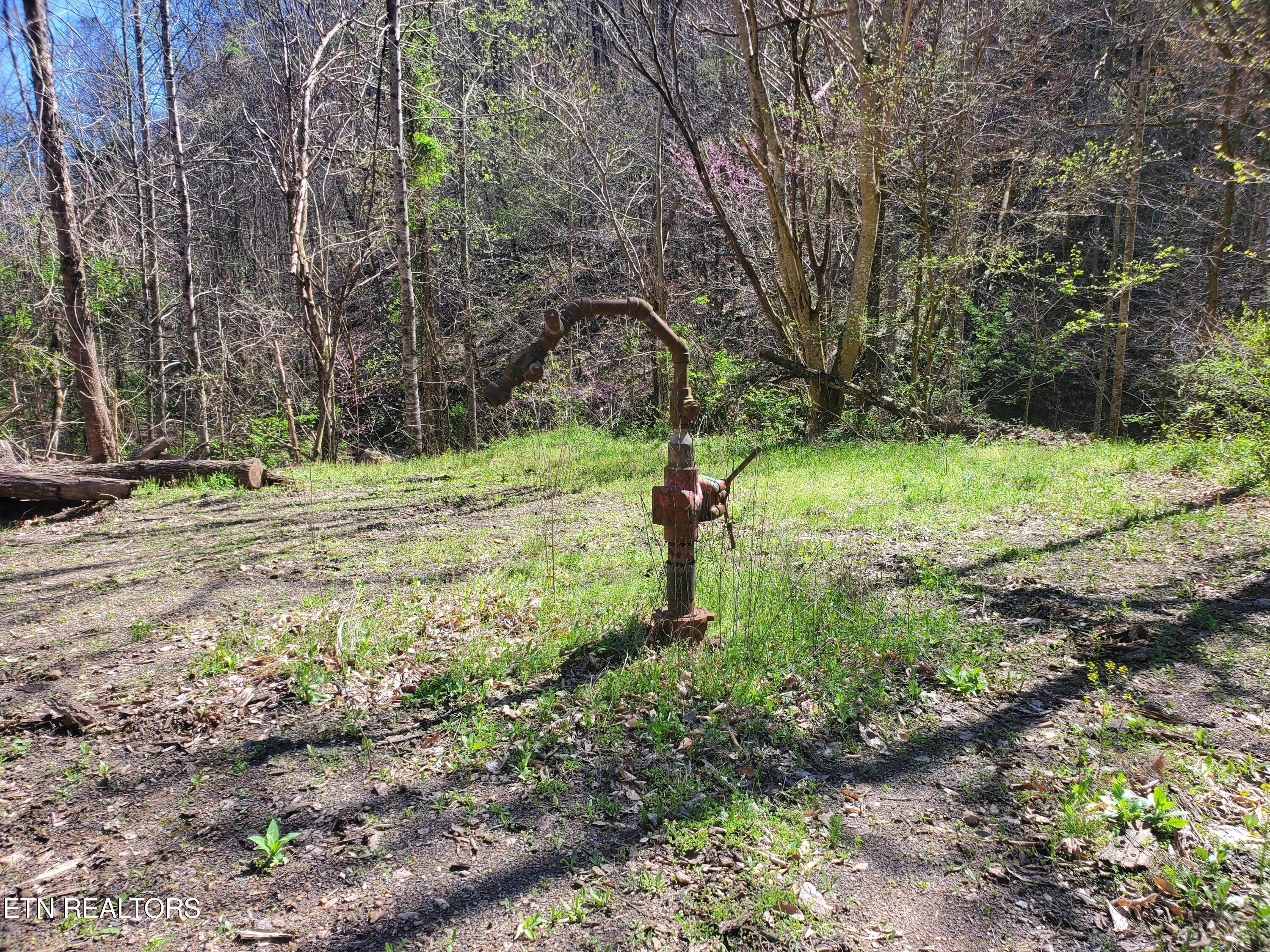 7044 Caney Valley Road Tazewell, TN 37879 - Photo 24 of 34 20240413_154351