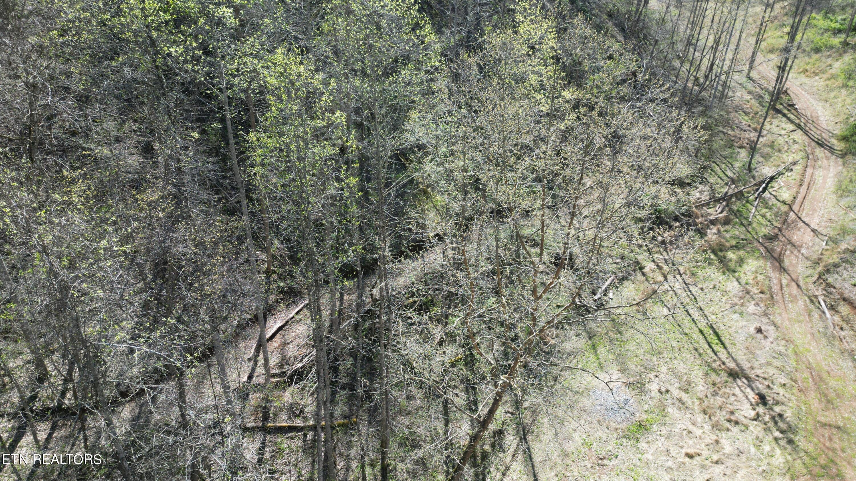 7044 Caney Valley Road Tazewell, TN 37879 - Photo 8 of 34 DJI_0458