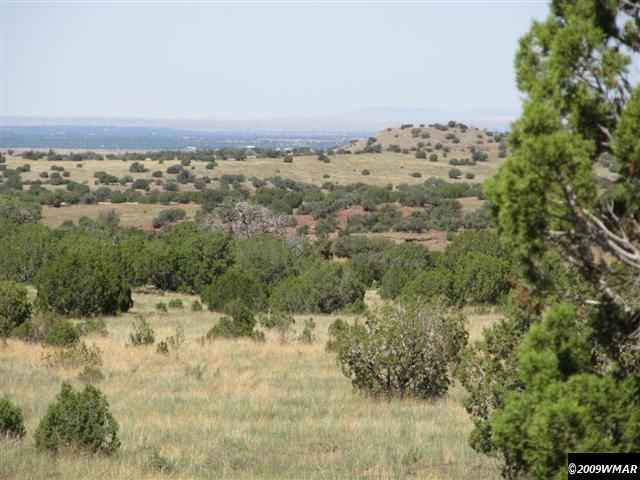 8485 (rattle Rd) Concho Az 85924 Concho, AZ 85924 - Photo 2 of 9