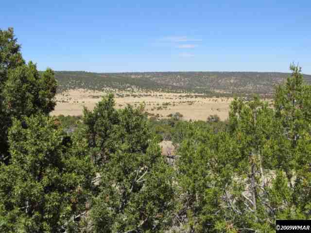 8485 (rattle Rd) Concho Az 85924 Concho, AZ 85924 - Photo 3 of 9