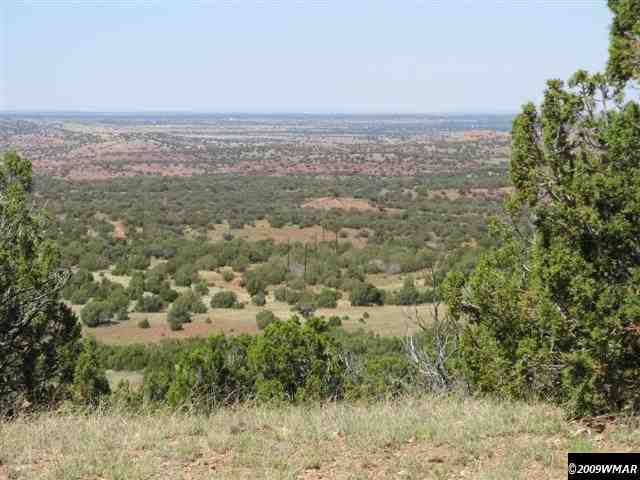 8485 (rattle Rd) Concho Az 85924 Concho, AZ 85924 - Photo 4 of 9