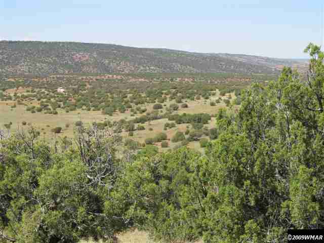 8485 (rattle Rd) Concho Az 85924 Concho, AZ 85924 - Photo 5 of 9