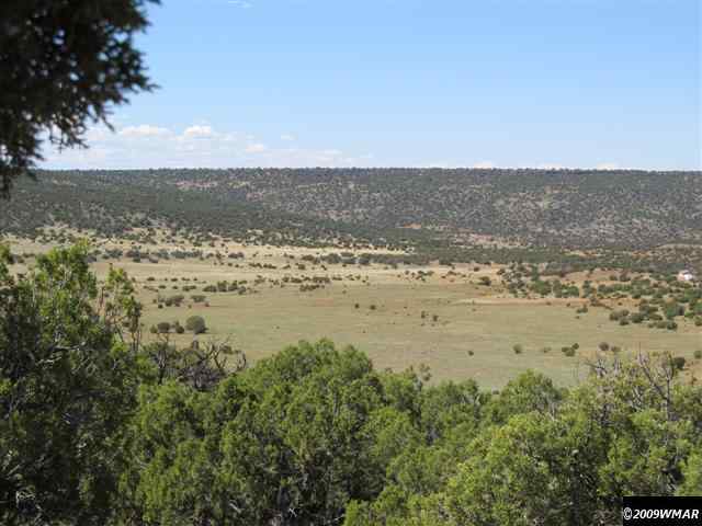 8485 (rattle Rd) Concho Az 85924 Concho, AZ 85924 - Photo 6 of 9