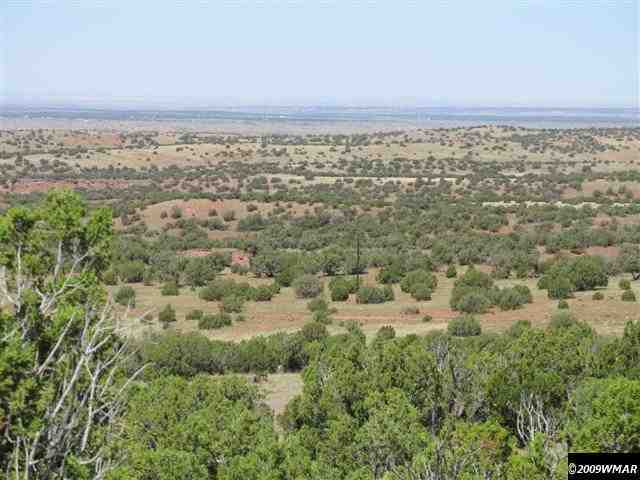 8485 (rattle Rd) Concho Az 85924 Concho, AZ 85924 - Photo 7 of 9