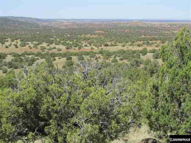 8485 (rattle Rd) Concho Az 85924 Concho, AZ 85924 - Photo 8 of 9