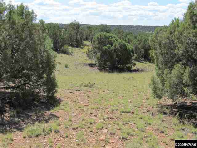 8485 (rattle Rd) Concho Az 85924 Concho, AZ 85924 - Photo 9 of 9