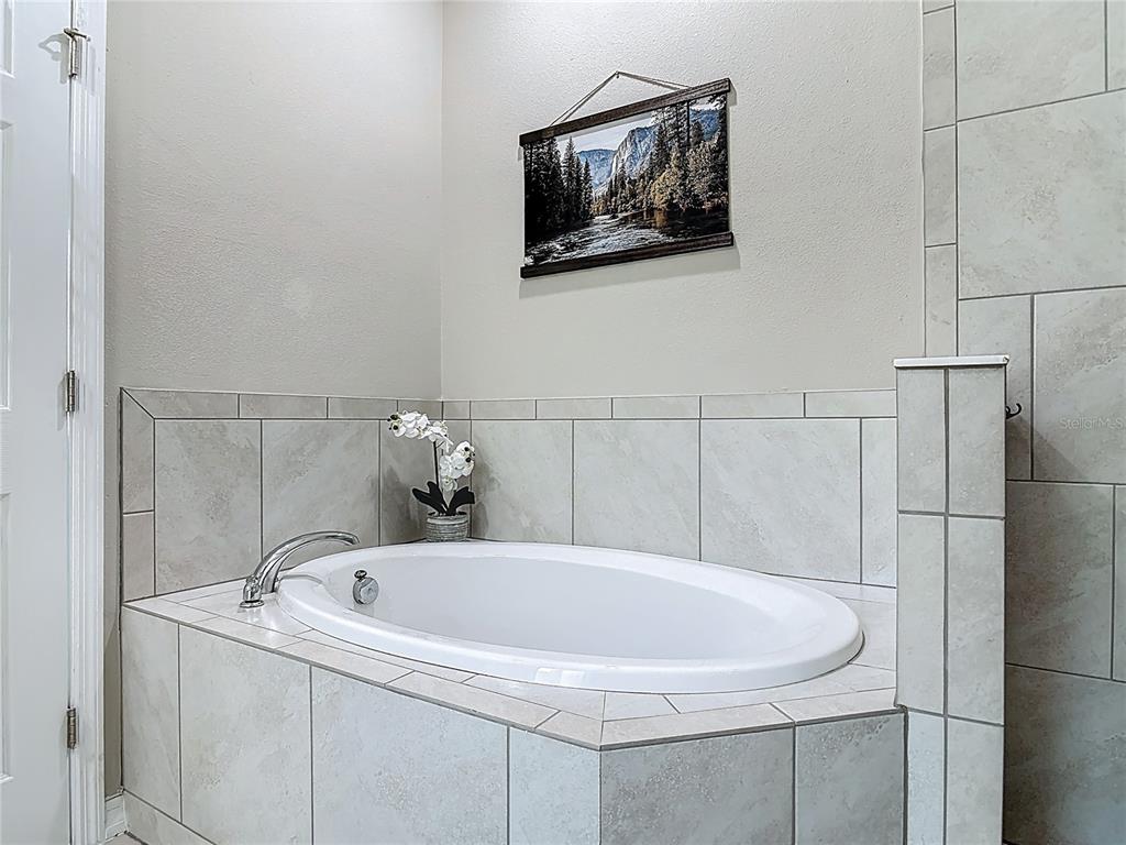 39641 Royal Trails Road Eustis, FL 32736 - Photo 31 of 63 a bathroom with a sink and mirror