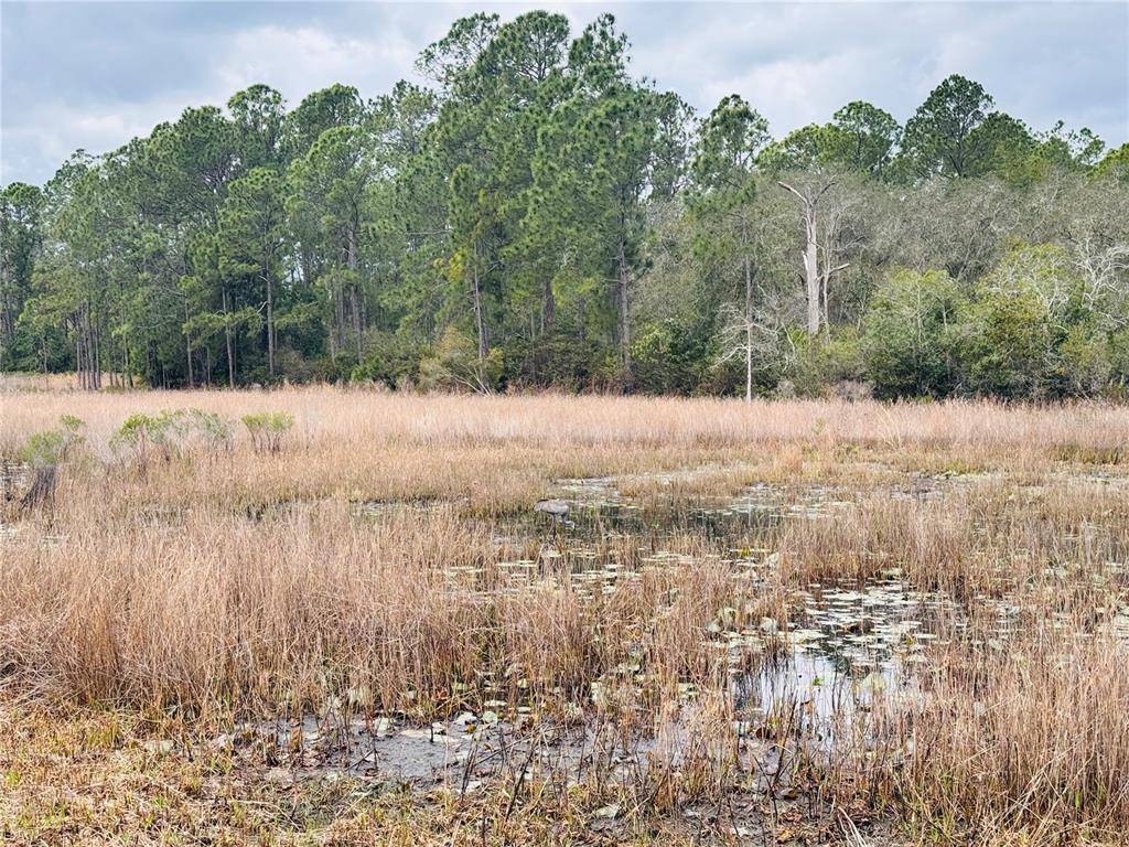 39641 Royal Trails Road Eustis, FL 32736 - Photo 55 of 63