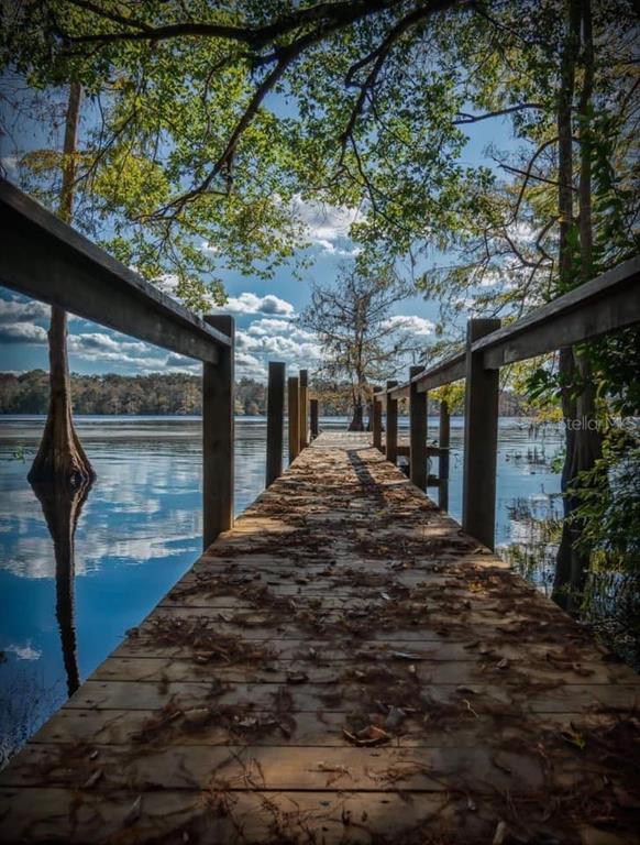 39641 Royal Trails Road Eustis, FL 32736 - Photo 56 of 57
