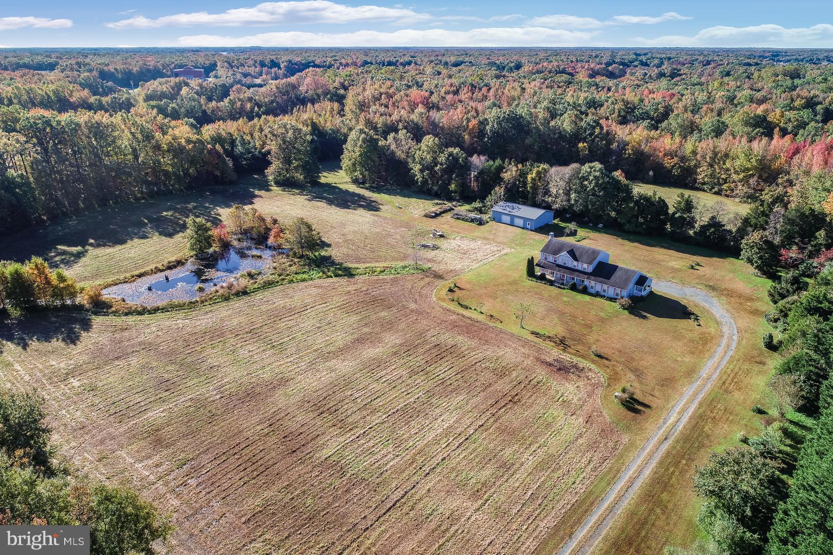 339 Money Road Townsend, DE 19734 - Photo 3 of 56 19+/- acres of paradise!