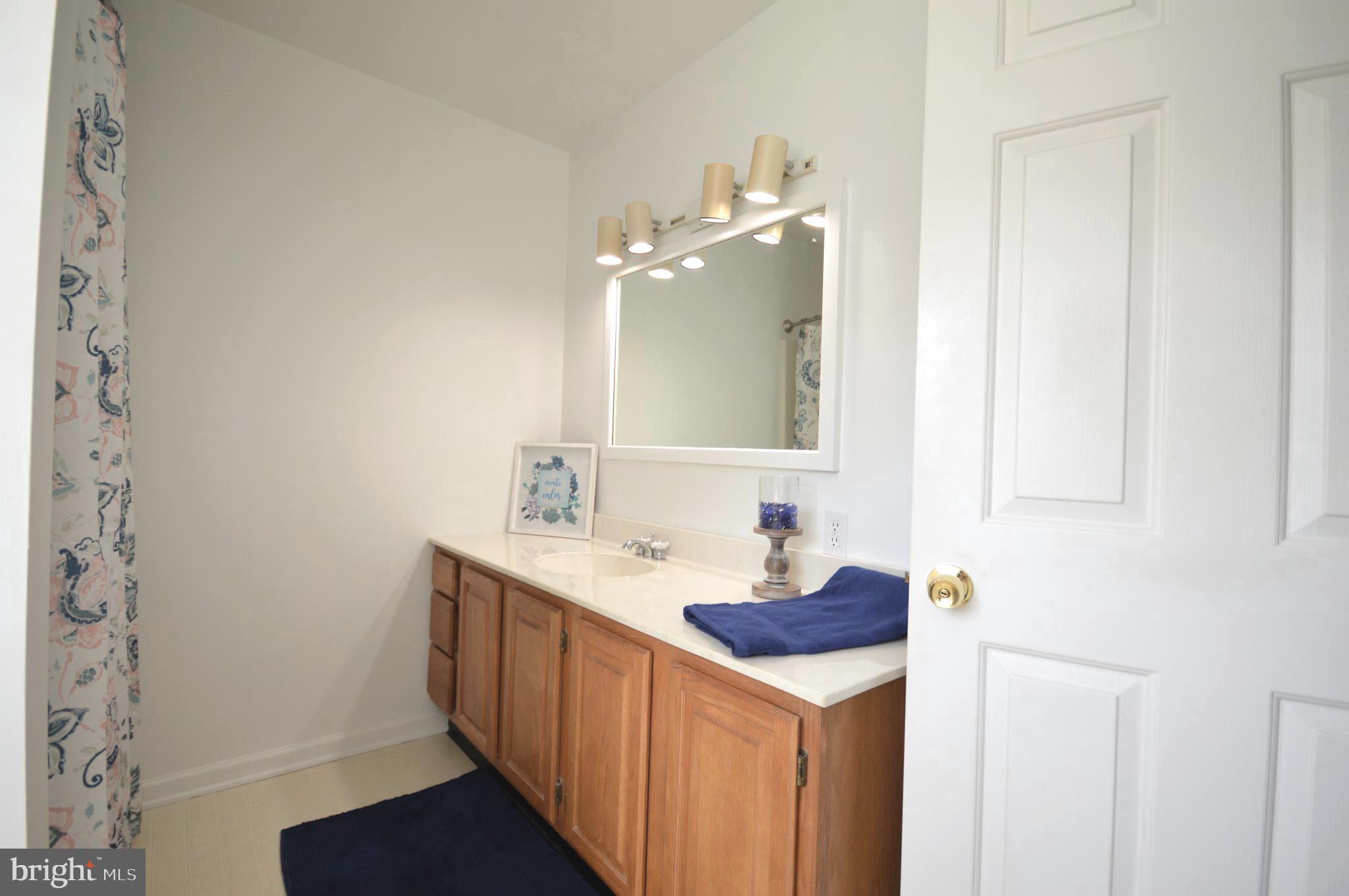 339 Money Road Townsend, DE 19734 - Photo 35 of 56 Master bath