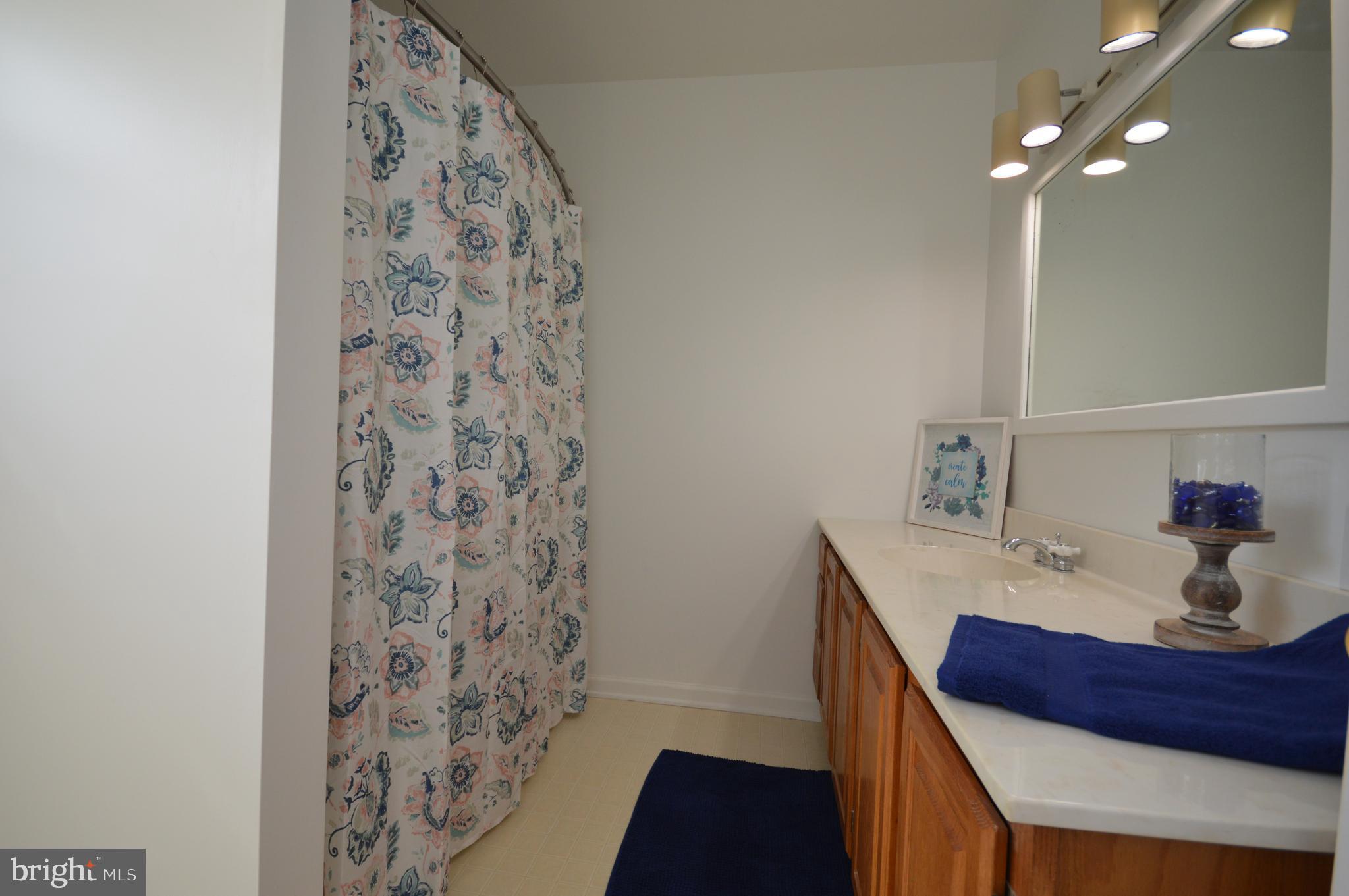 339 Money Road Townsend, DE 19734 - Photo 36 of 56 master bath another view