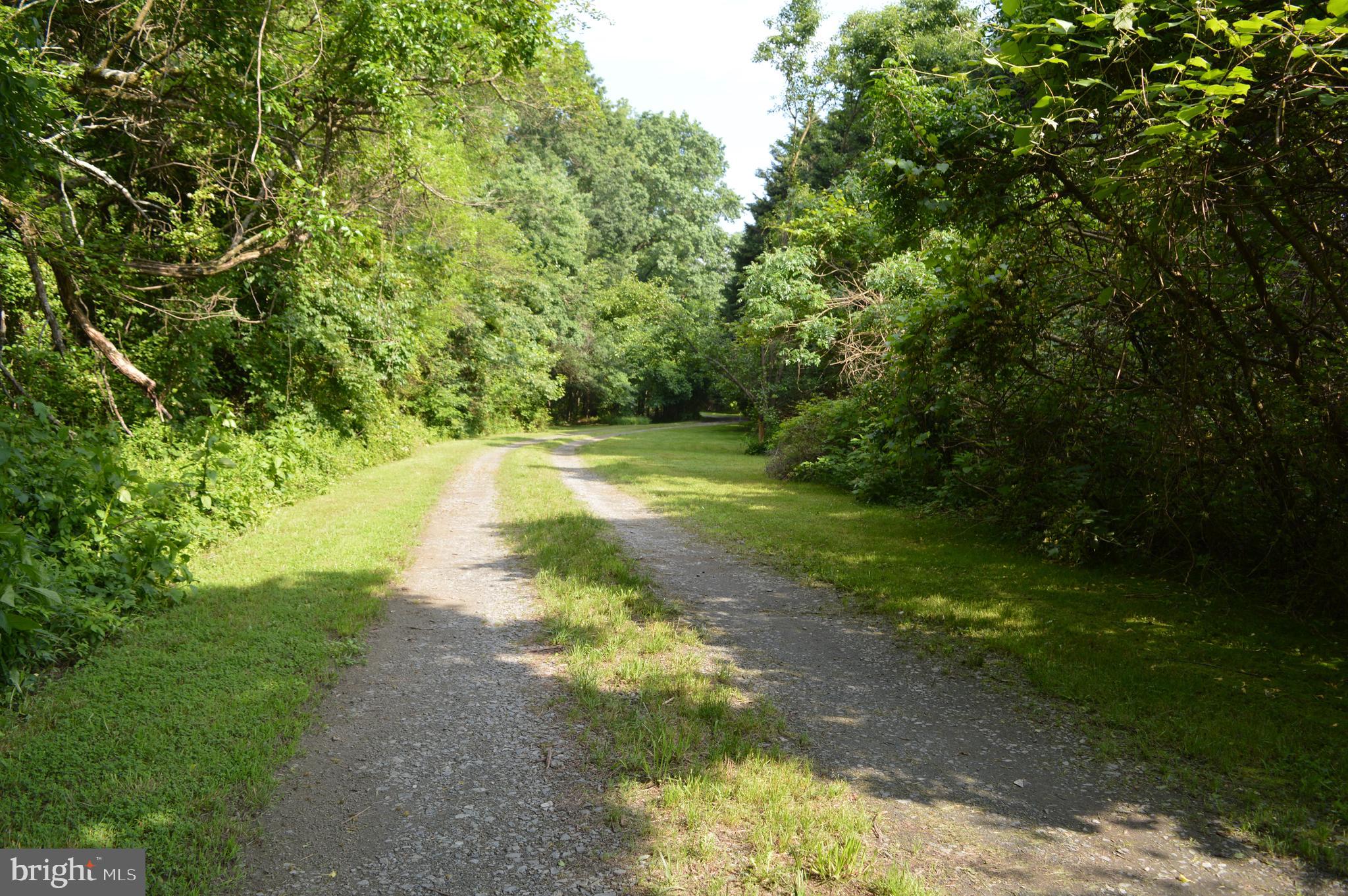 339 Money Road Townsend, DE 19734 - Photo 5 of 56 Keeps going........