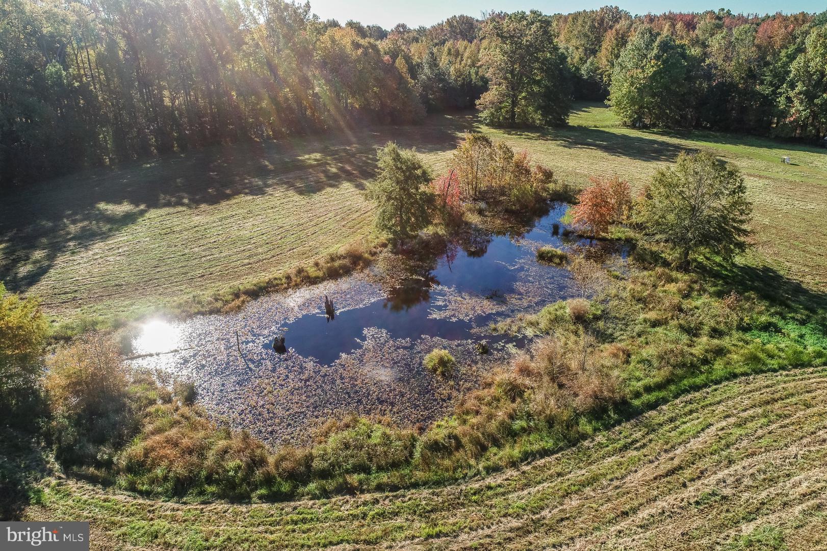 339 Money Road Townsend, DE 19734 - Photo 10 of 56 Overhead view of Beautiful Pond