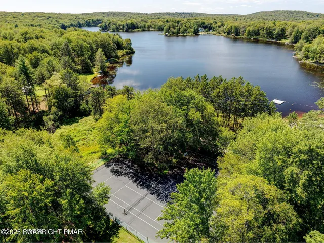 a view of a lake in middle of forest