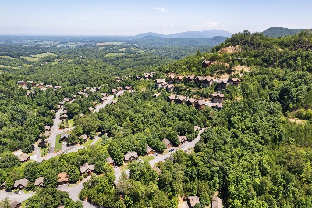 1652 Raccoon Den Way, Unit SERENITY Sevierville, TN 37862 - Photo 46 of 47 Gallery Image 46