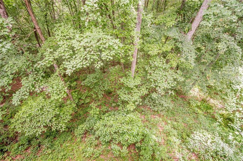 213 Moonshine Hollow Blue Ridge, GA 30513 - Photo 33 of 41 a view of a yard