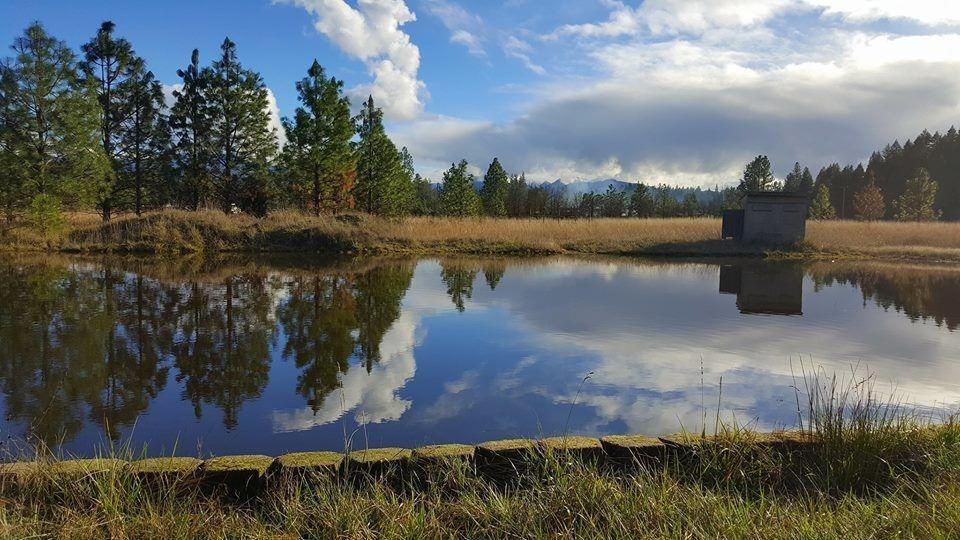 245 Prottsman Way Cave Junction, OR 97523 - Photo 10 of 32 Additional Photo