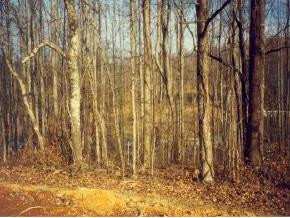324 Stockyard Road Telford, TN 37690 - Photo 4 of 4 Photo 4