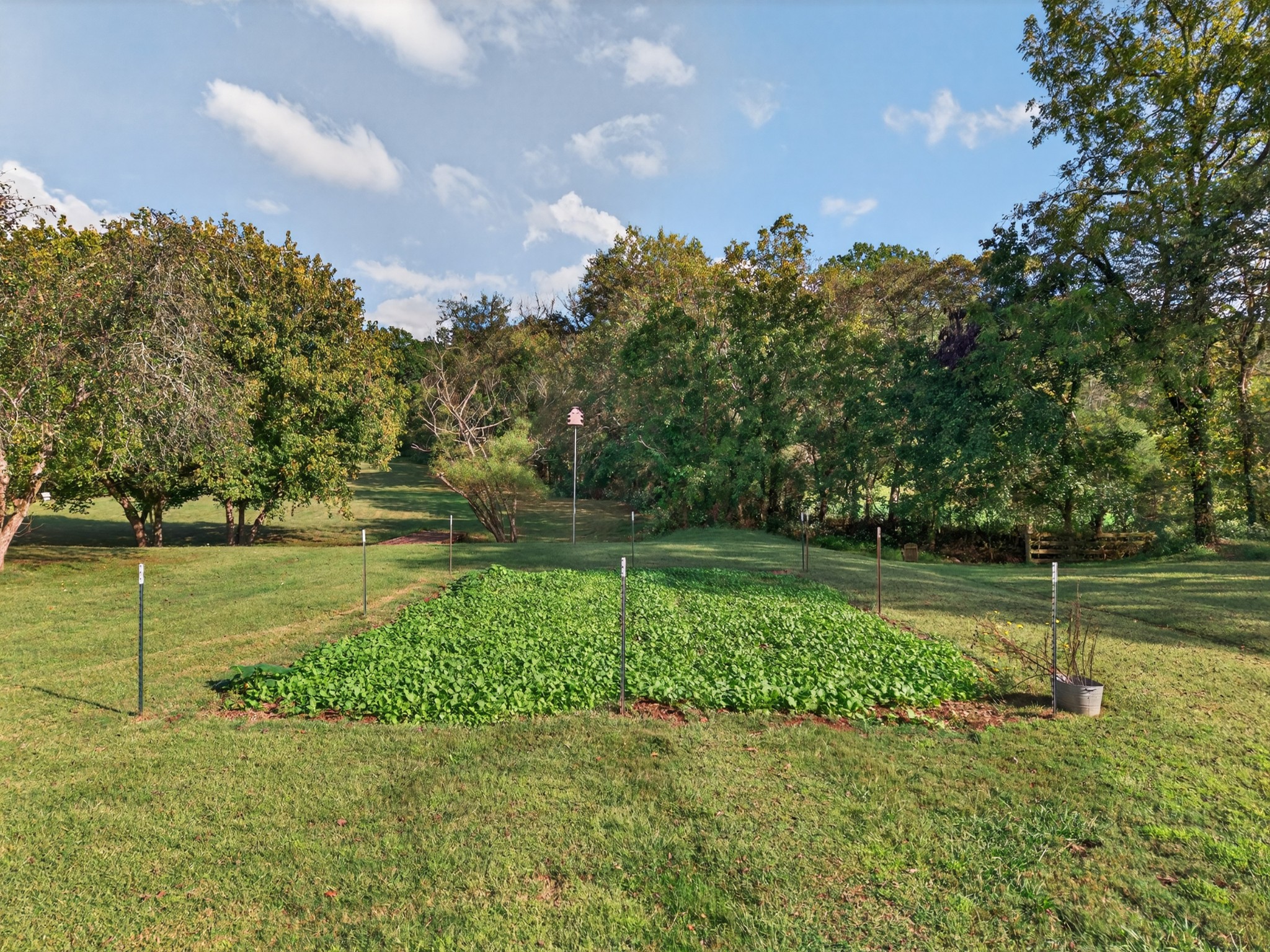 87 Roger Monk Road Petersburg, TN 37144 - Photo 38 of 49 Gallery Image 38