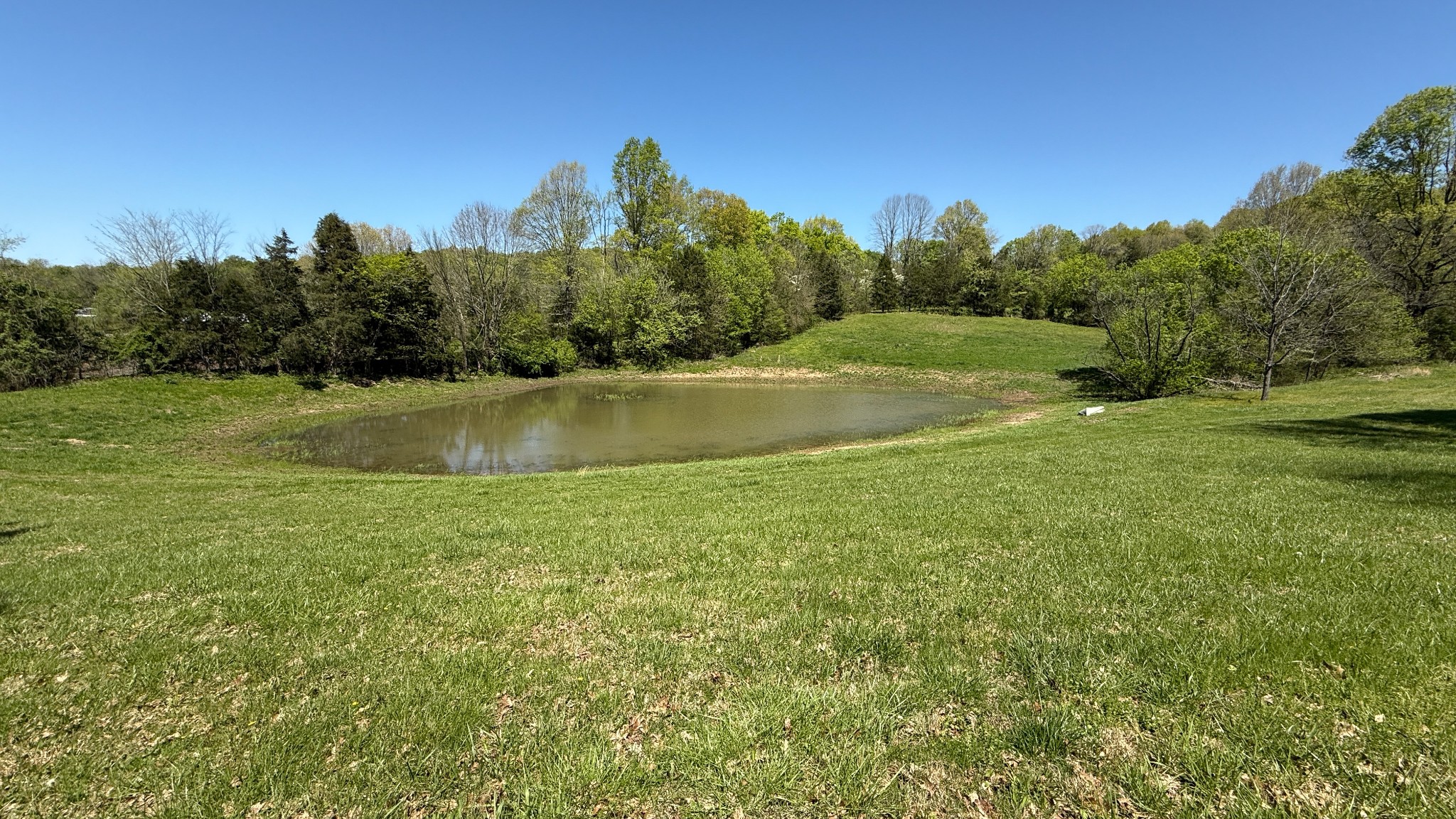 87 Roger Monk Road Petersburg, TN 37144 - Photo 41 of 49 Gallery Image 41