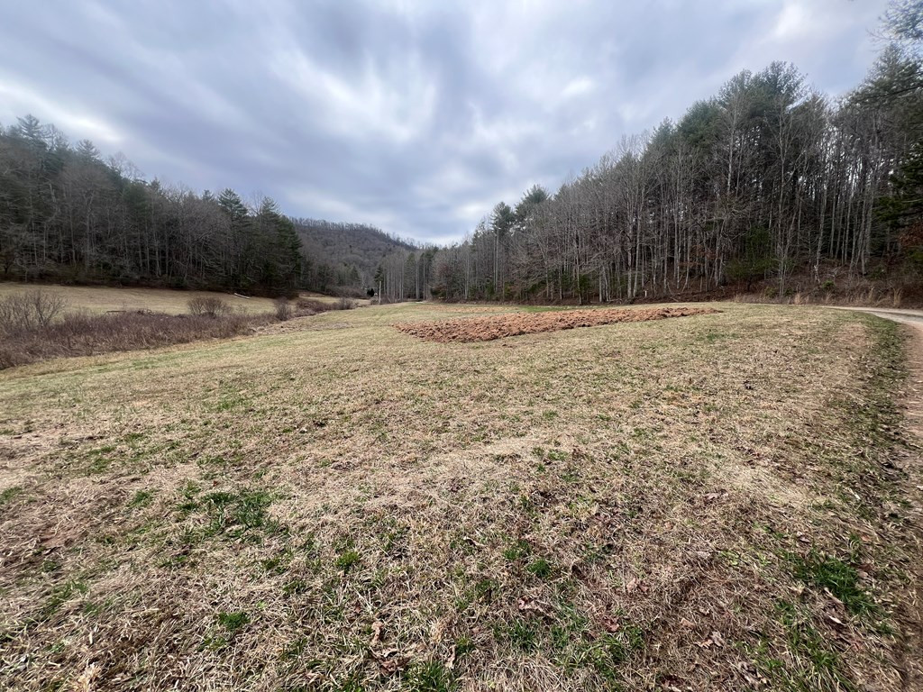 1-2 Graves Road Murphy, NC 28906 - Photo 5 of 12