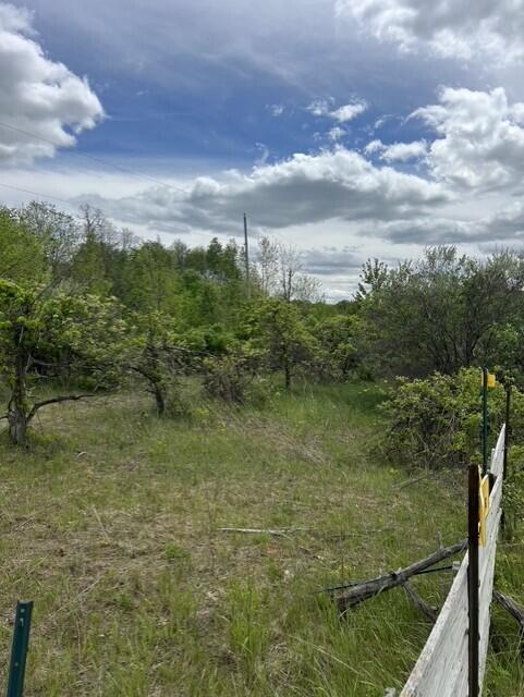 Parcel A West County Line Road Greenville, MI 48838 - Photo 11 of 14 P11