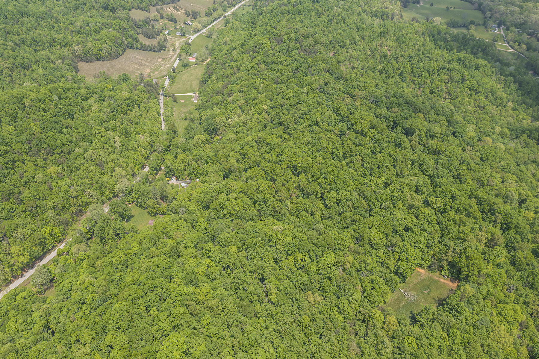 7146-7148 Brindle Ridge Road Mount Vernon, KY 40456 - Photo 27 of 51 7148brindleridge33 copy