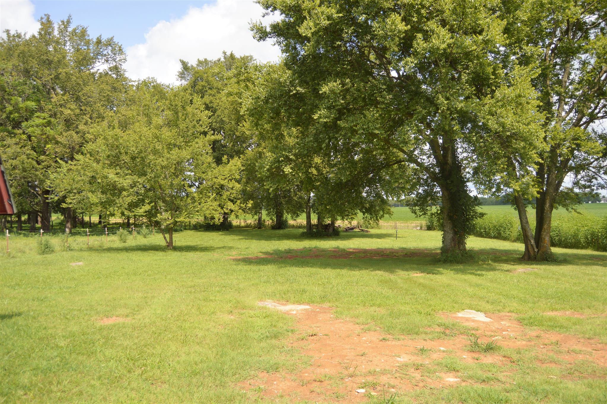1529 Longview Road Unionville, TN 37180 - Photo 20 of 21 a yard with trees in the background