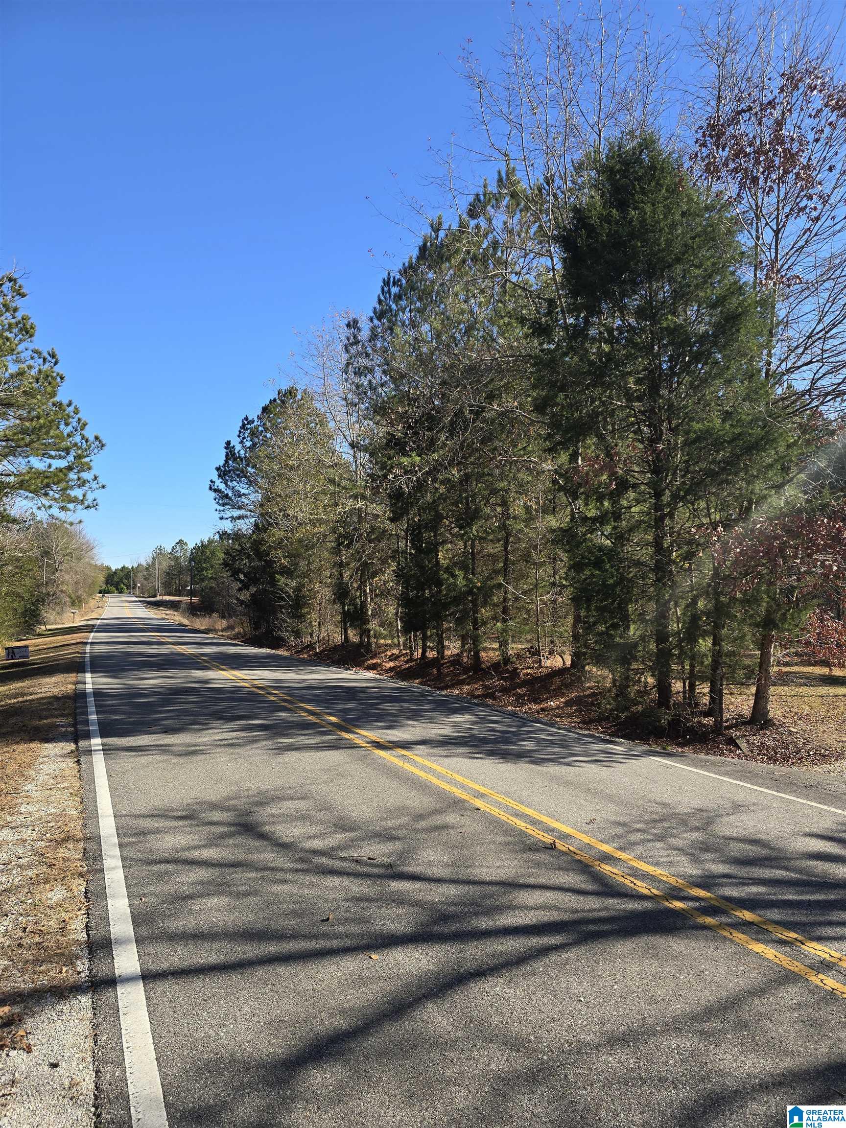 4850 Shoal Creek Road, Unit ACREAGE Ashville, AL 35953 - Photo 15 of 18