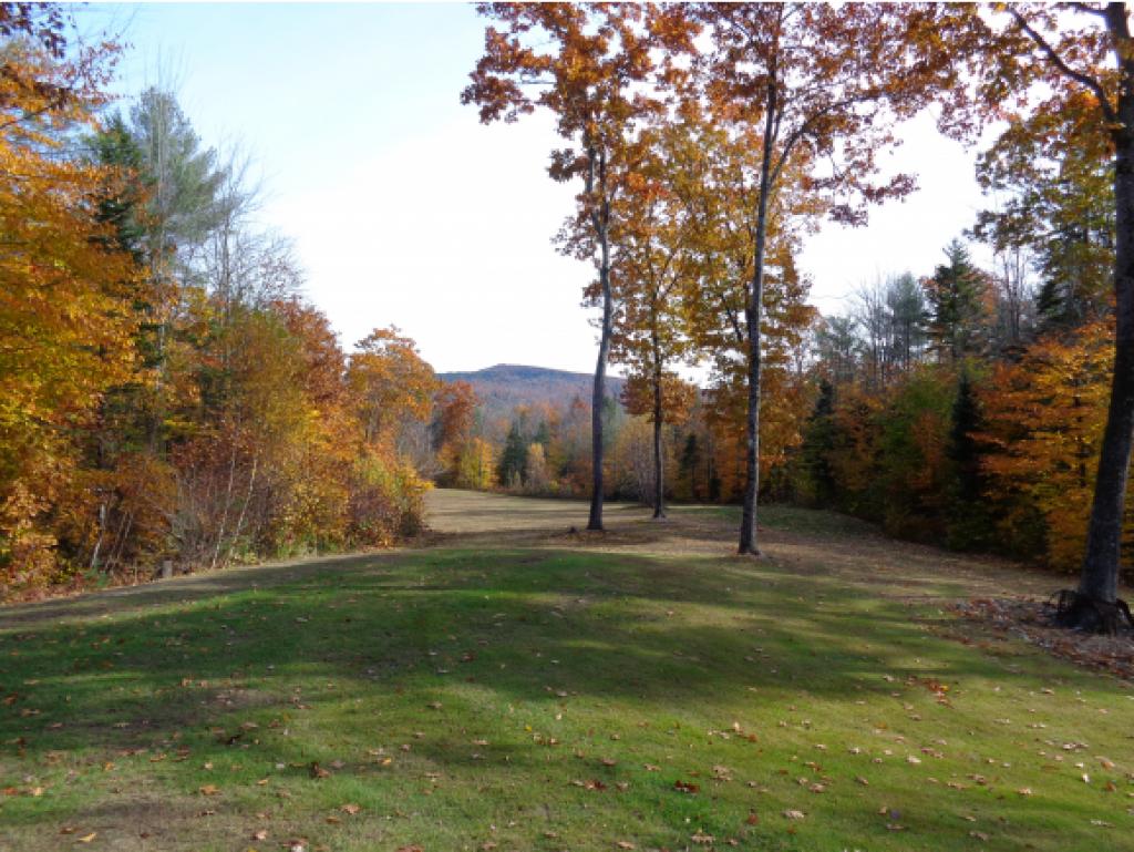 22 Jackson Ridge Road Danbury, NH 03230 - Photo 17 of 24 Gallery Image 17