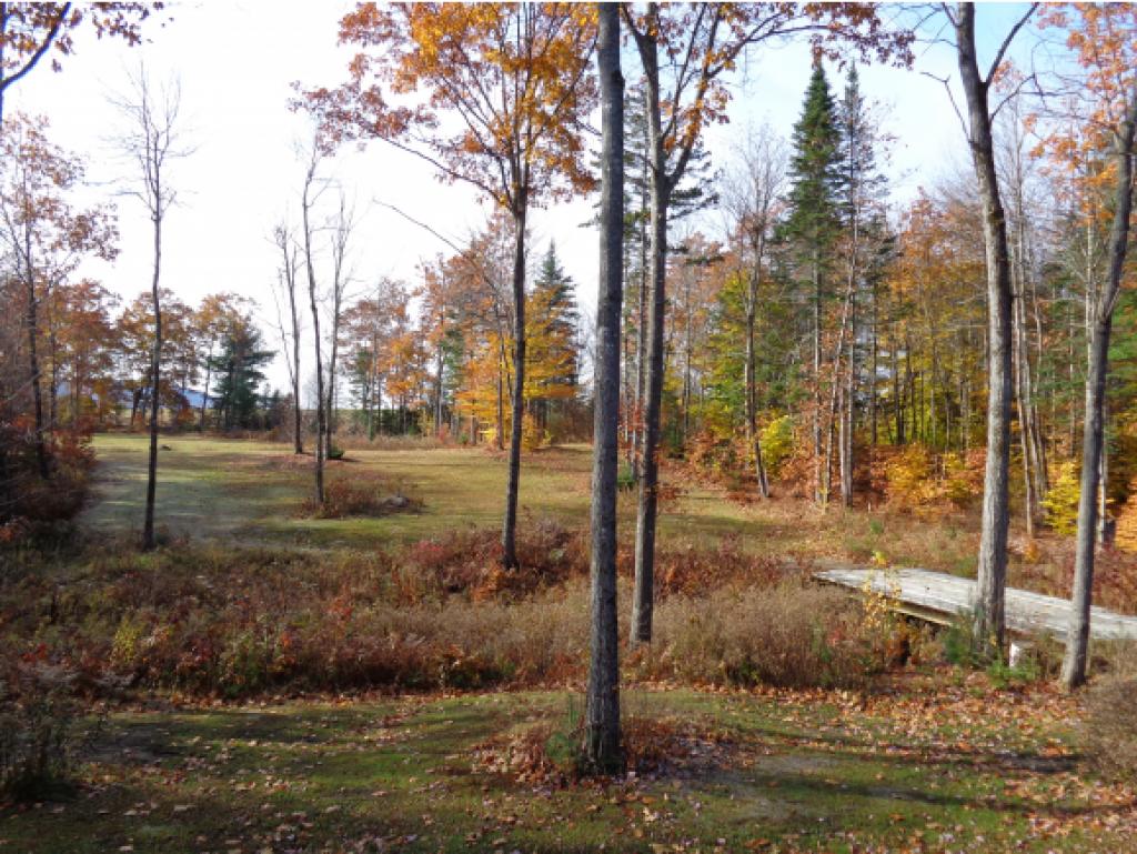 22 Jackson Ridge Road Danbury, NH 03230 - Photo 19 of 24 Gallery Image 19