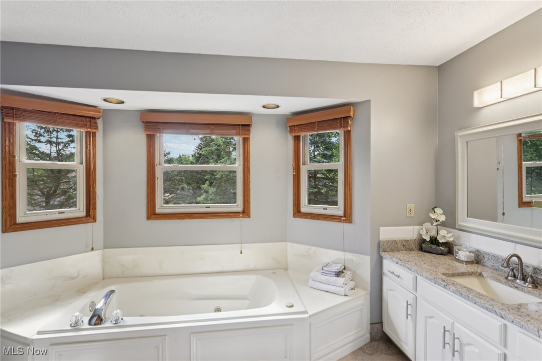 3005 Kent Road Stow, OH 44224 - Photo 18 of 35 Master Bath- plenty of natural light and a jetted tub