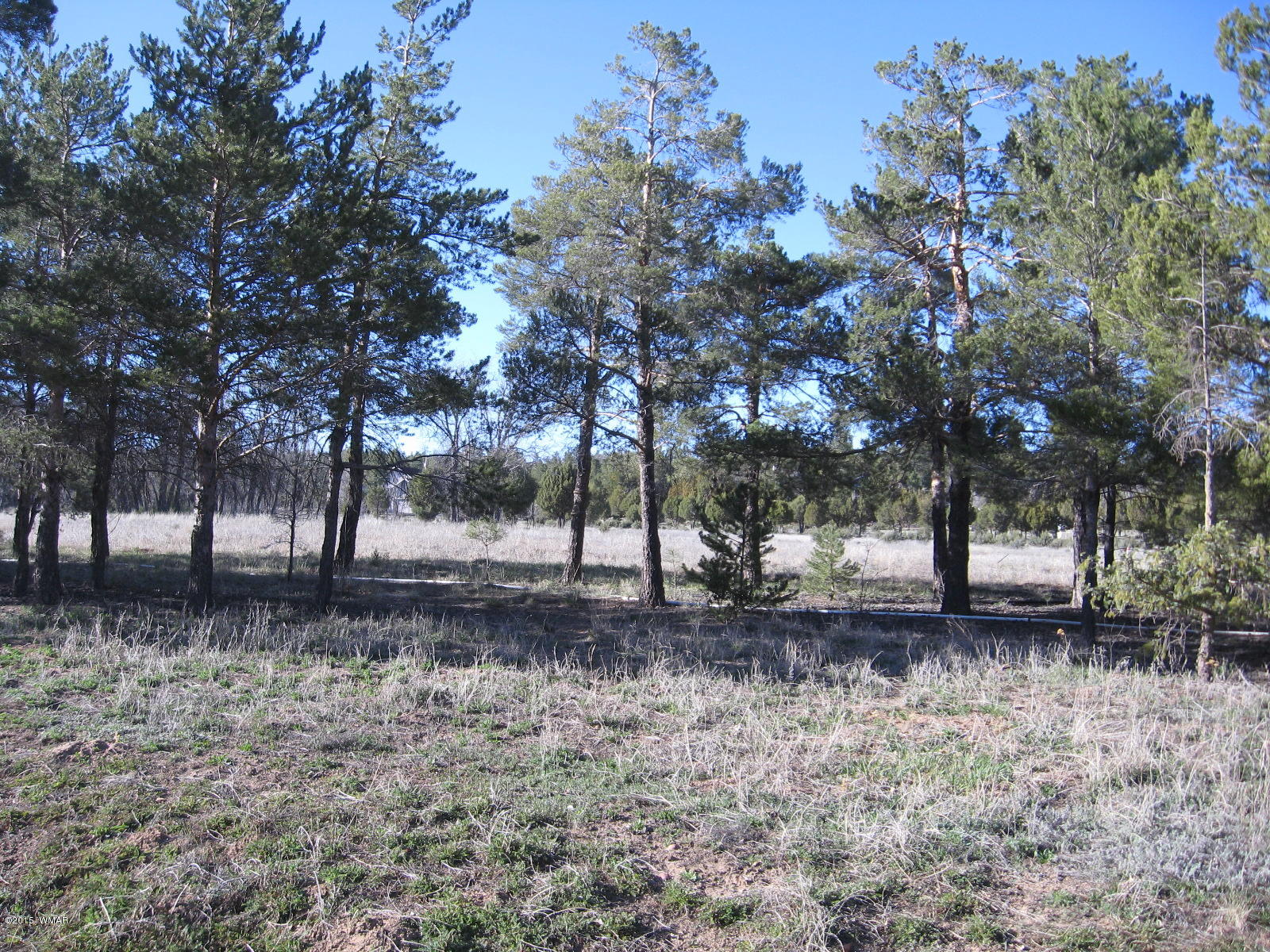 0 Larson Road Lakeside, AZ 85929 - Photo 2 of 2