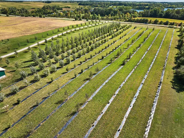 $799,000 | 11795 Aldrich Road Northwest, Brandon, MN 56315