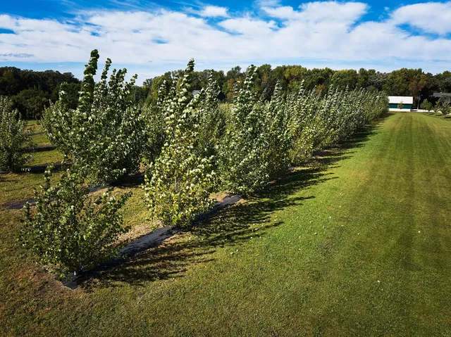 $799,000 | 11795 Aldrich Road Northwest, Brandon, MN 56315