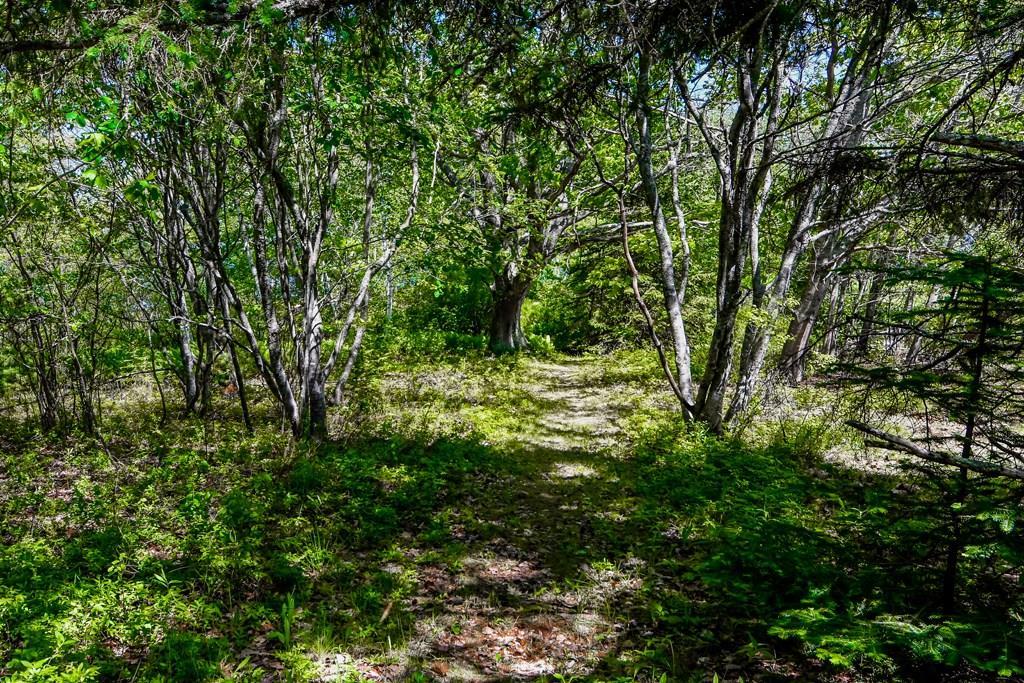 1307 Newbury Neck Road Surry, ME 04684 - Photo 37 of 38 Deeded right of way to the shore....