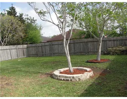 a view of a backyard with a small cabin